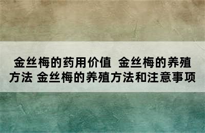 金丝梅的药用价值  金丝梅的养殖方法 金丝梅的养殖方法和注意事项